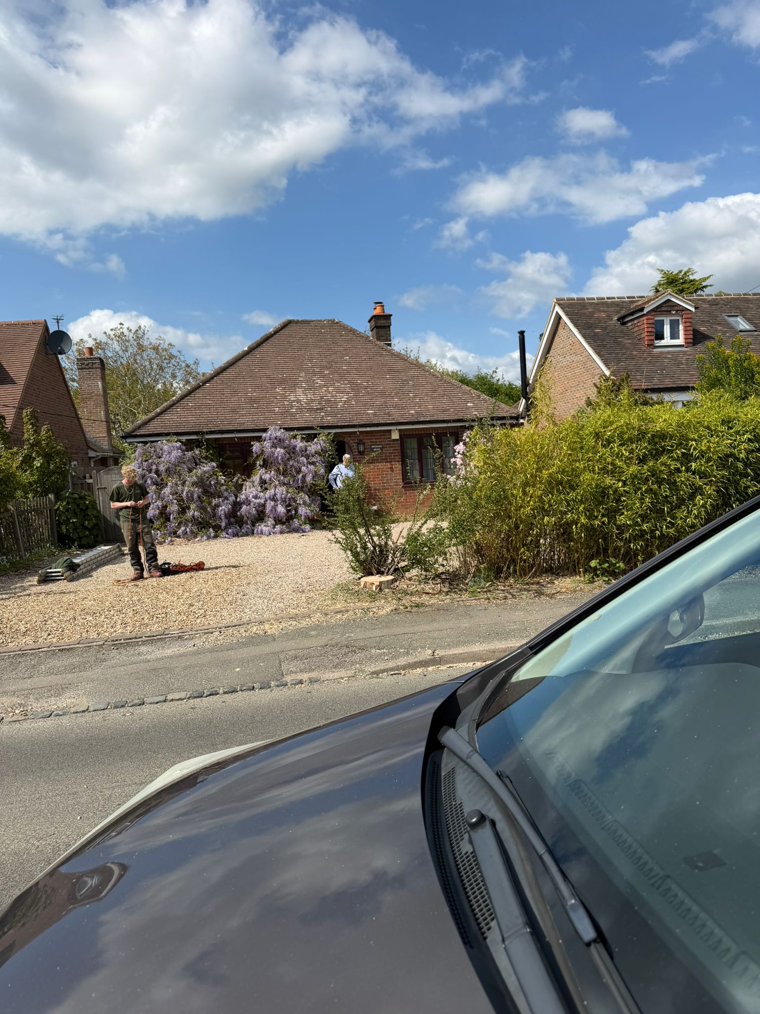 Stump left after tree was cut down outside home in Enfield Stump left after tree was cut down outside home in Enfield